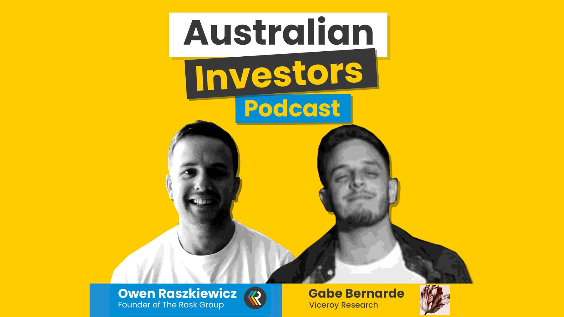 Viceroy gabe australian investors podcast